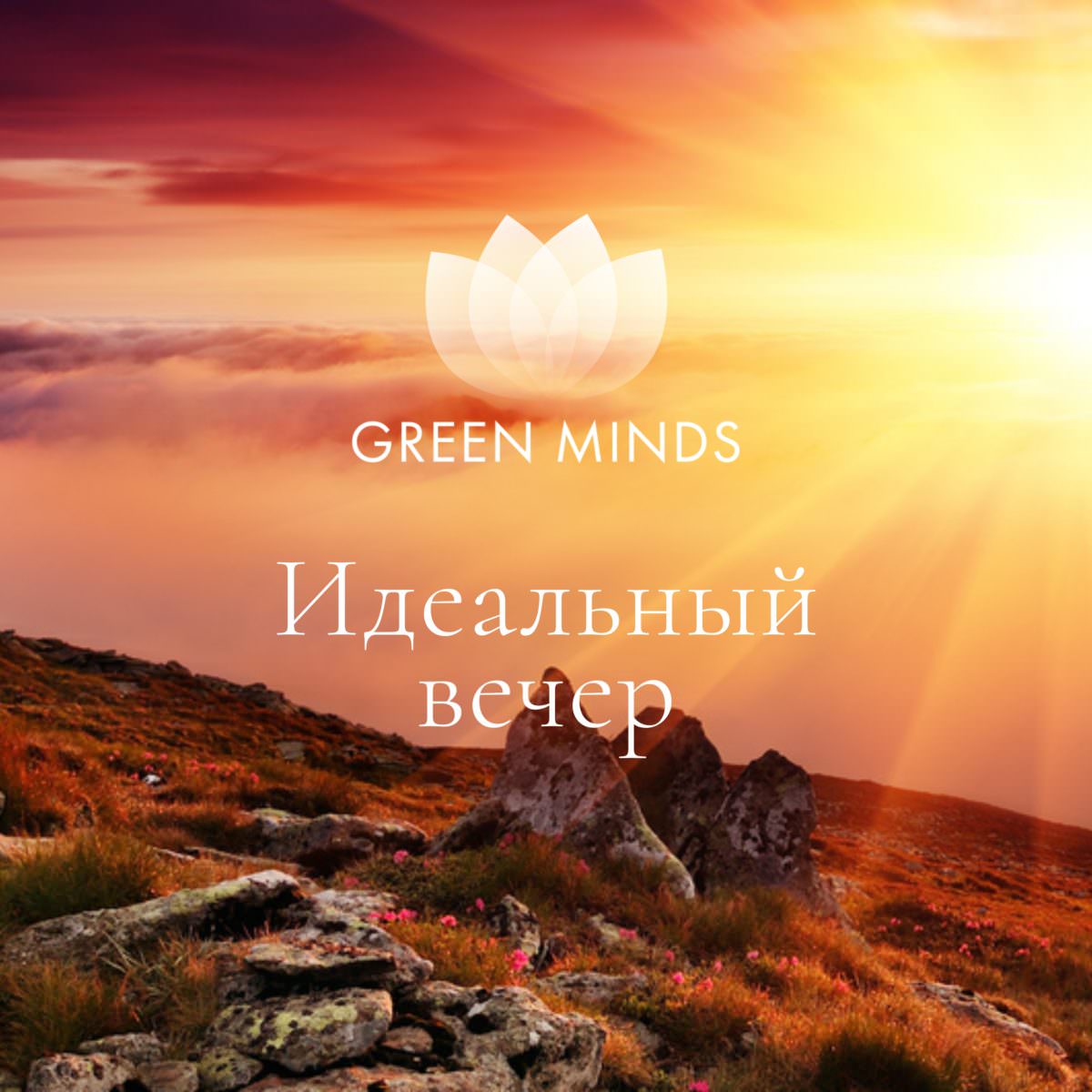 Нейромедитация GREEN MINDS «Идеальный вечер» по цене 460 руб. - купить в  Прохладном ☛ Доставка ★ Интернет-магазин «EcoGreenDom»